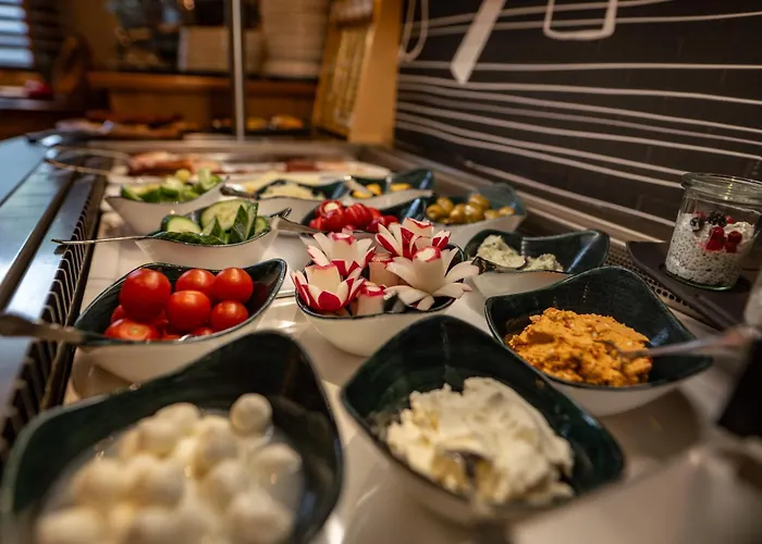 Hotell Erzherzog Johann Alpin Style - Adults Only Schladming