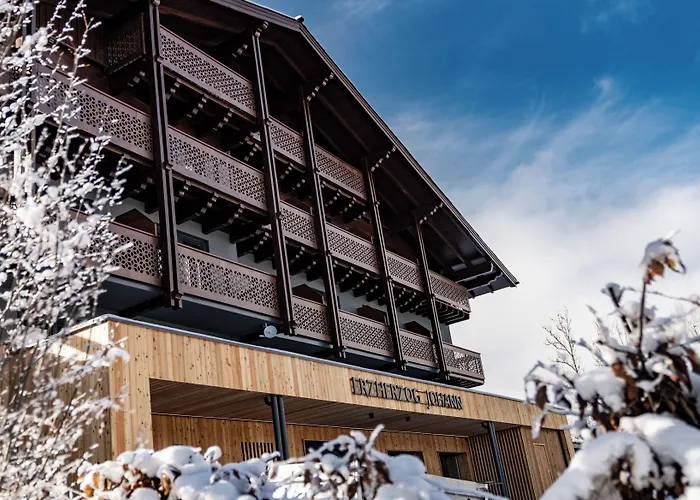 Hotell Erzherzog Johann Alpin Style - Adults Only 4*